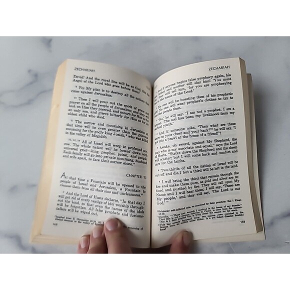 Living Prophecies With Daniel And The Revelation Paperback - Picture 6 of 10